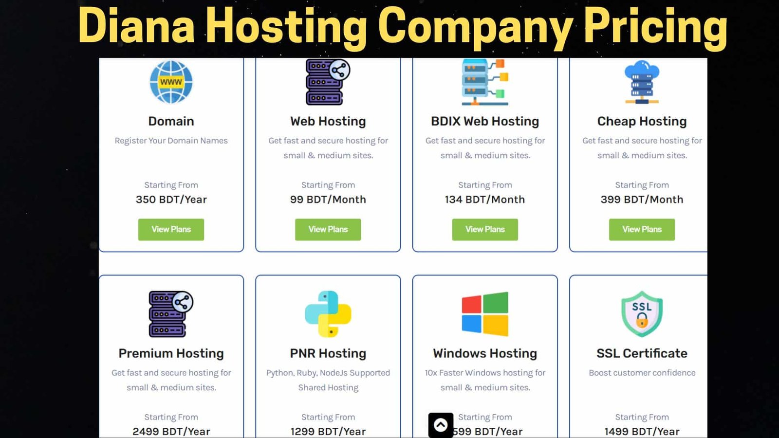 Diana Hosting company different pricing plans chart