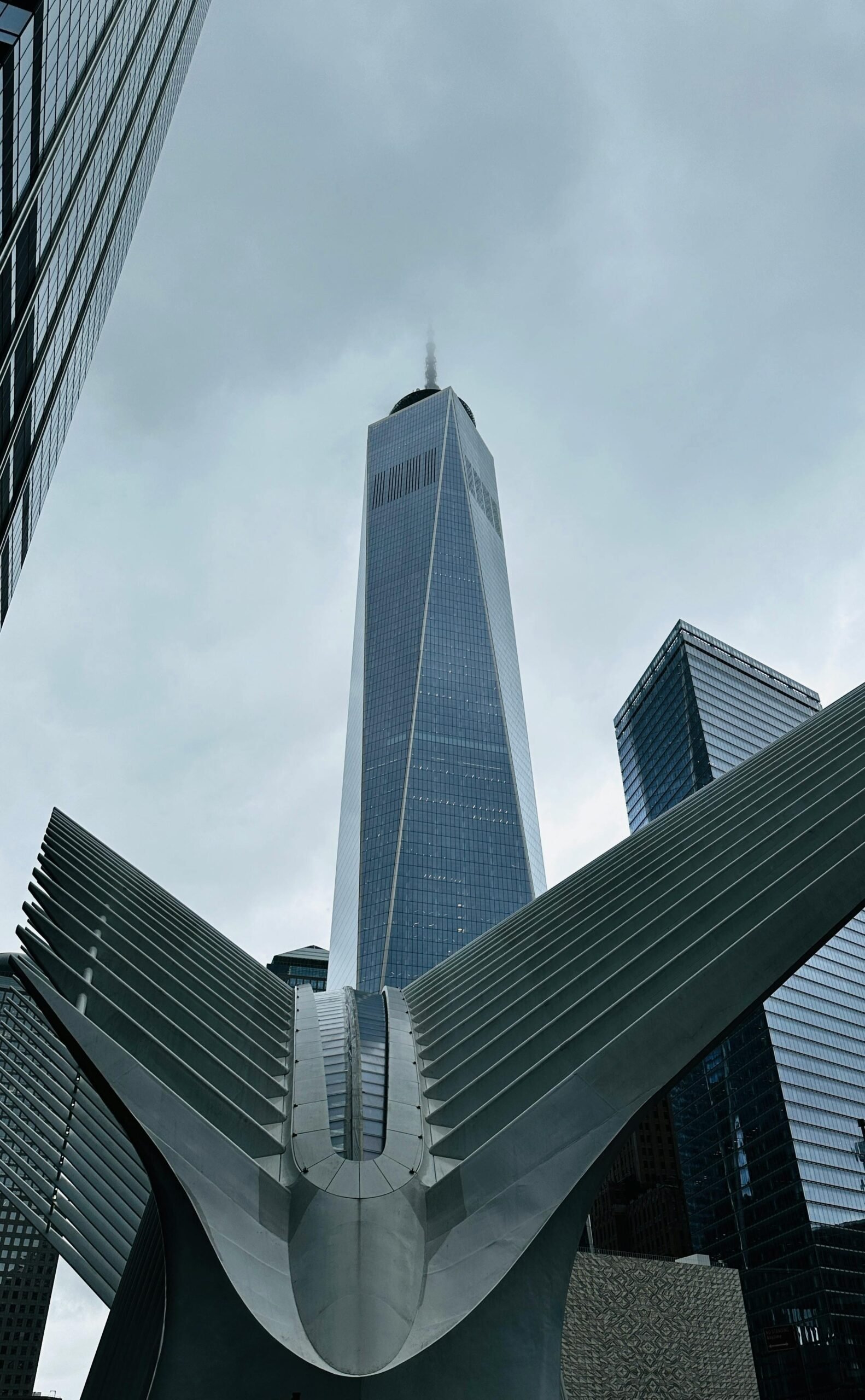 One world trade center view from buildings