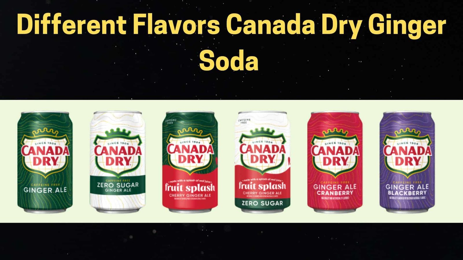 6 dfiferent flavors of canada dry ginger soda