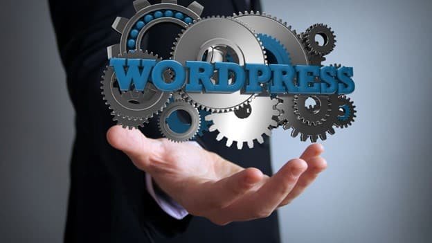 a man is holding WordPress plugin logo in his hand